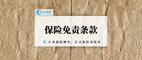 免责险多少钱（免责险是什么）