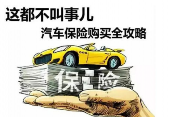 分期全险多少（分期全险多少钱）
