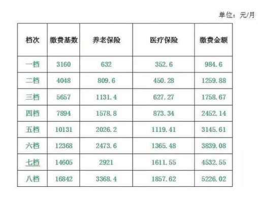 自己交养老保险要多少钱（自己交养老保险多少钱进入个人账户）