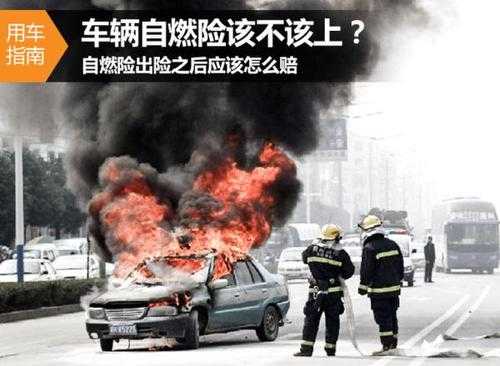 自燃险多少（自燃险多少钱）
