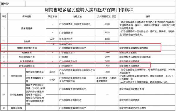 河南大额医疗保险（河南大额医疗保险缴费）