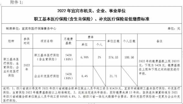宜宾医疗保险交费（宜宾医疗保险缴费）