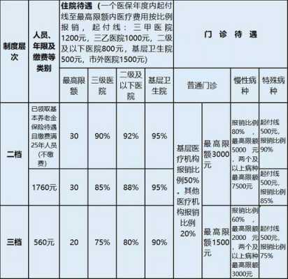 医疗保险档次缴费（2021医保缴费档次的区别）
