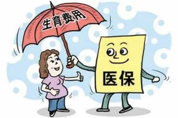 生育保险和医疗保险补缴（生育险和补充医疗）