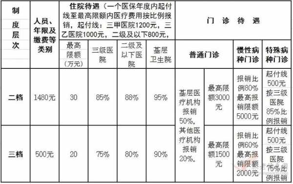 交医疗保险档次（医疗保险缴费分几档）