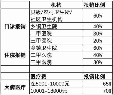 农民医疗保险报销多少（农民医保2020年报销比例）