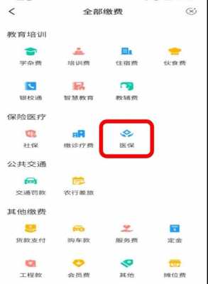 医疗保险个人怎么（医疗保险个人怎么交费方式）