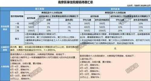南京新医疗保险（南京医疗保险缴费标准）