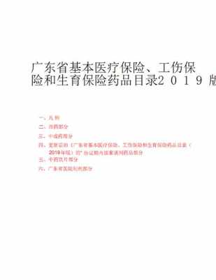 广东医疗保险目录（广东省医疗保险目录）