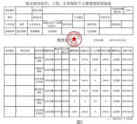 哈尔滨医疗保险分档（哈尔滨医疗保险有几个档）