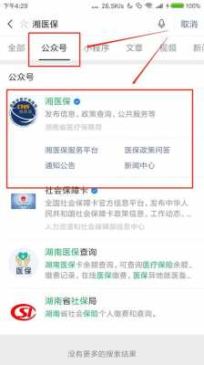 医疗保险湖南查询（湖南医疗保险查询个人账户）