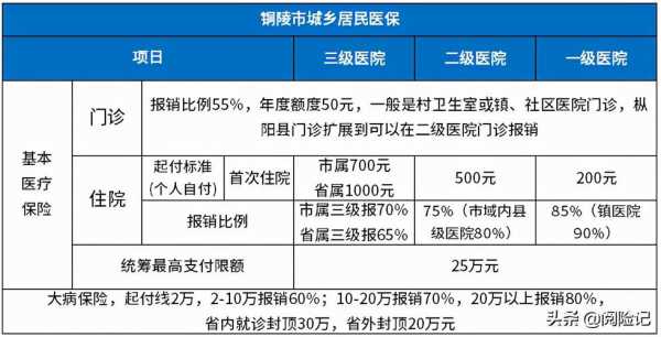 铜陵医疗保险报销（铜陵住院医保报销比例）