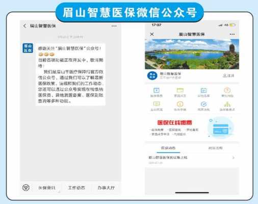 眉山医疗保险平台（眉山医保网）
