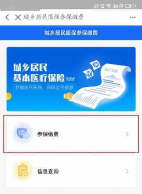 在线医疗保险缴费（在线医疗保险缴费怎么交）