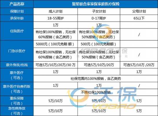 家庭医疗保险名称（家庭医疗保险是什么）