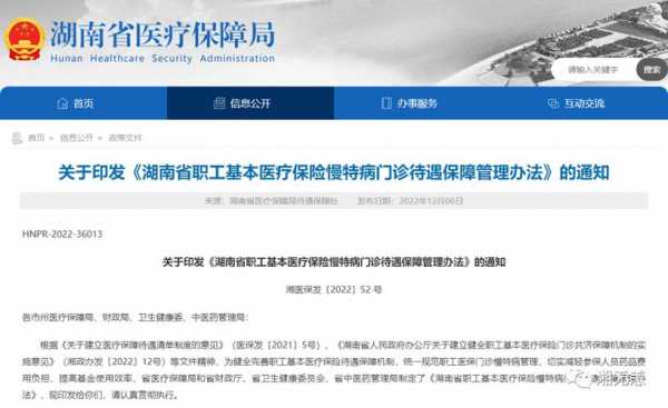 湖南政府医疗保险（湖南省医疗保险政策）