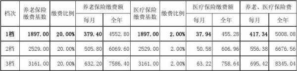 医疗保险交费金额（医疗保险缴费金额怎么算出来的）