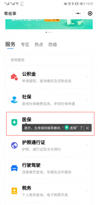 居民医疗保险300（居民医疗保险怎么查询）